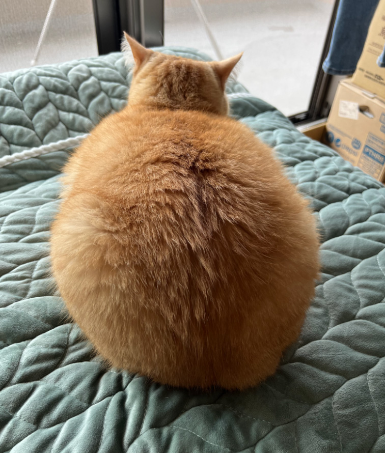 今月のログイン画像